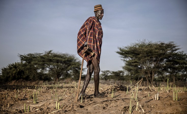 East Africa: Preventing another Desert Locust Upsurge