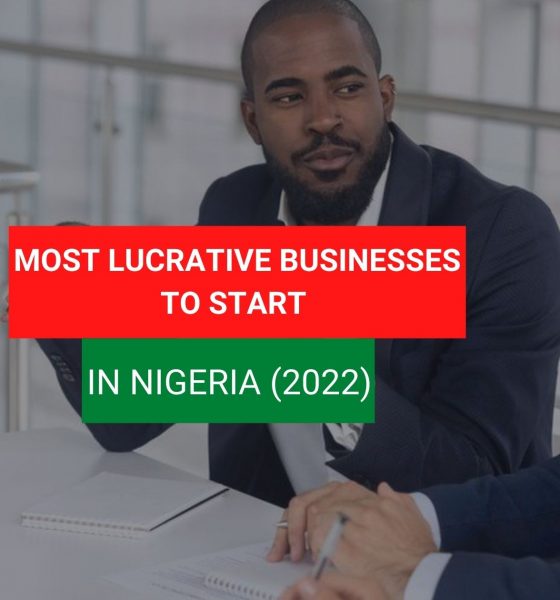 Most lucrative businesses to start in Nigeria (2022)