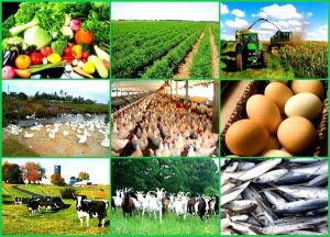 Agricultural industry business