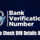 How To Check BVN Details In Nigeria