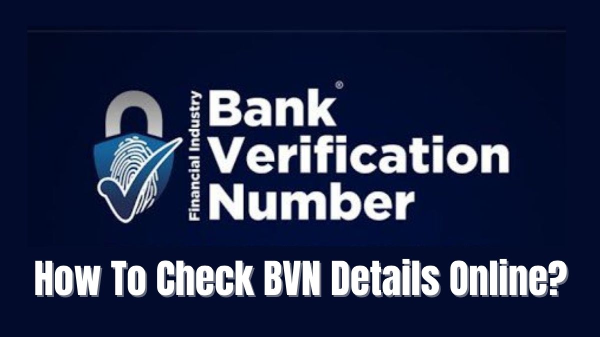 How To Check BVN Details In Nigeria