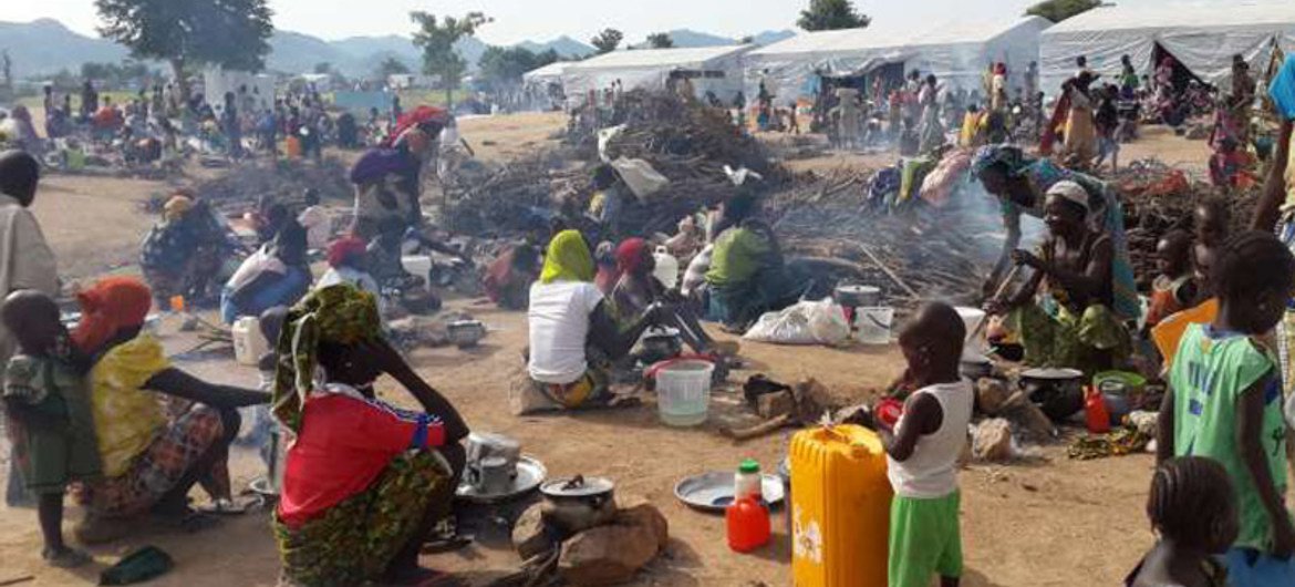 Thousands Displaced by Boko Haram Clashes Along Cameroon-Nigeria Border