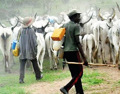Suspected Herders Kill 34 Refugees at Primary School in Benue State, Nigeria