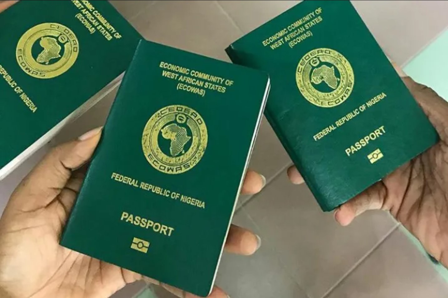 Comprehensive Guide On How to Get a Nigerian Passport Online