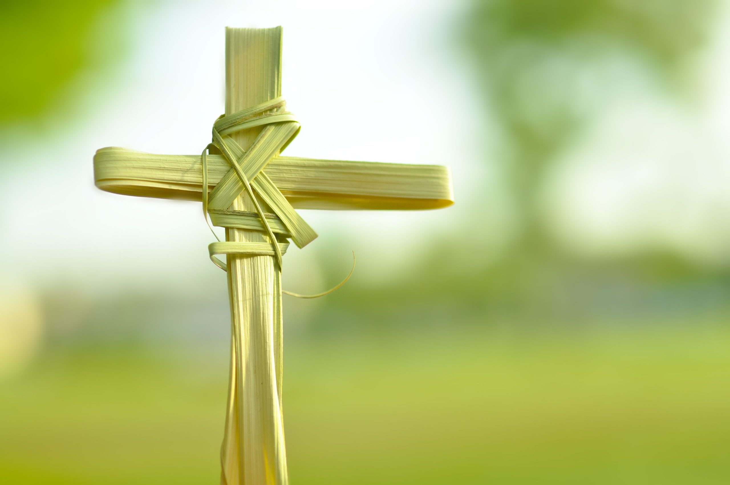 The Significance and Impact of Palm Sunday in the Christian Faith