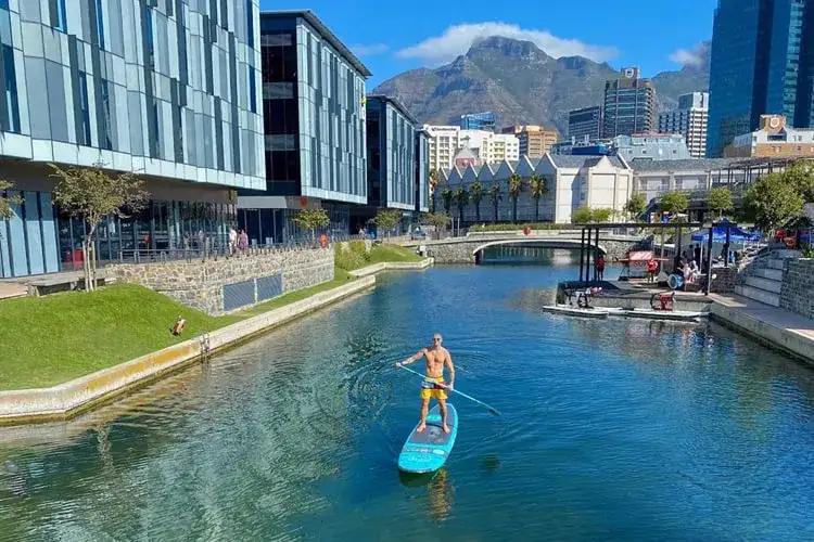 Top 7 Fun Places to Visit in Cape Town for an Unforgettable Adventure