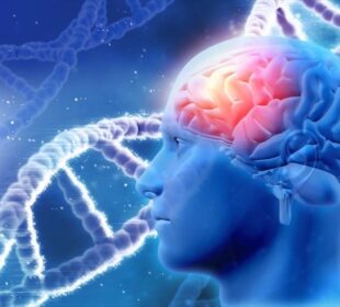 Understanding Alzheimer's Disease: From Genesis to Genes, Treatments, and Control Strategies