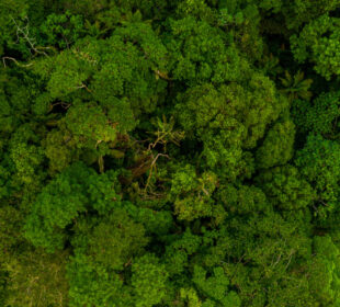 Why Biodiversity Matters More Than Ever