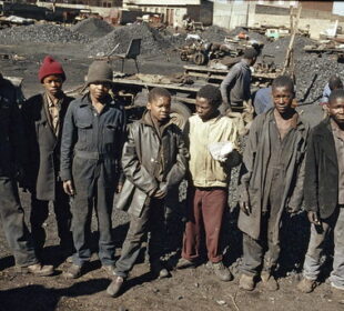 The Hidden Psychology Behind Street Crime