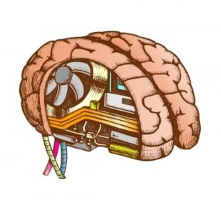 The Science Behind Human Memory