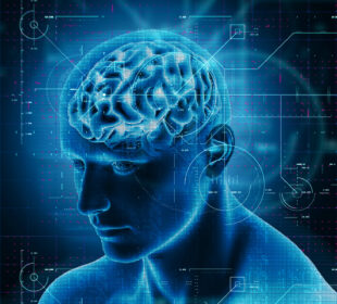 Neuroscience Basics Everyone Should Know