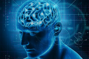 Neuroscience Basics Everyone Should Know