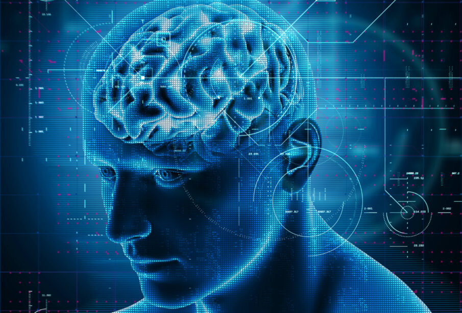 Neuroscience Basics Everyone Should Know