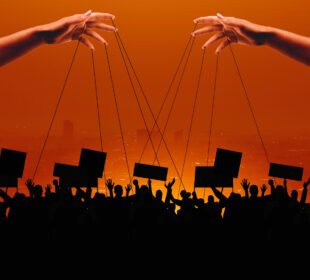 Political Decision-Making