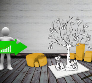 How Policy Shapes Economic Growth