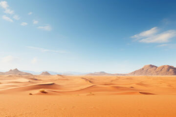 Desert Survival Strategies in Nature