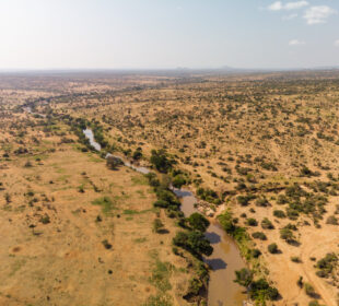 Ancient Trade Routes That Shaped Africa