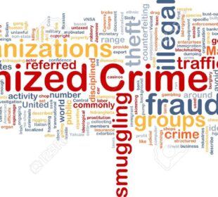 The Economics Behind Organized Crime
