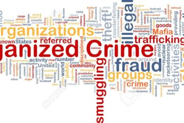 The Economics Behind Organized Crime