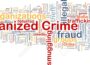 The Economics Behind Organized Crime