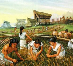 How Agriculture Changed Human Civilization