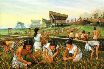 How Agriculture Changed Human Civilization
