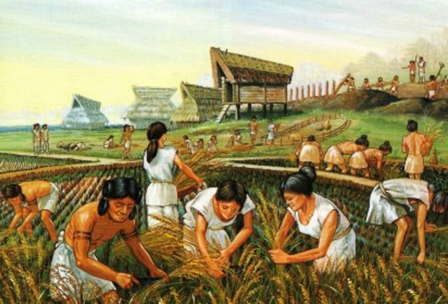 How Agriculture Changed Human Civilization