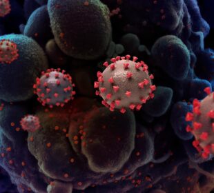 Scientific Breakthroughs That Changed Medicine