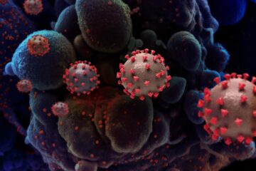 Scientific Breakthroughs That Changed Medicine