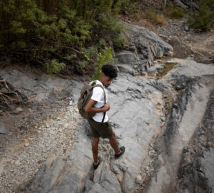 Nature’s Most Amazing Survival Tactics