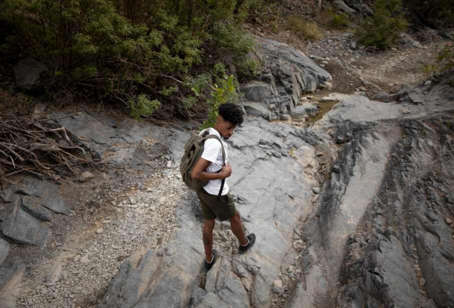 Nature’s Most Amazing Survival Tactics