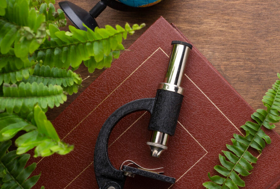 Scientific Discoveries You Didn’t Know About