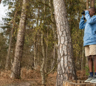 Nature’s Most Fascinating Survival Strategies