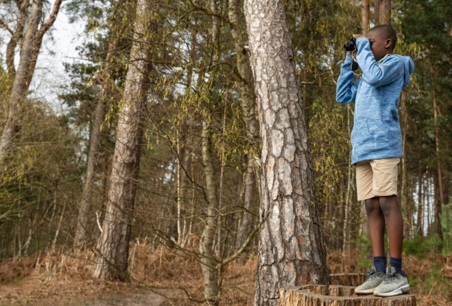 Nature’s Most Fascinating Survival Strategies