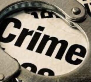 Crime Stories That Reveal Human Behavior