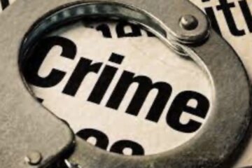 Crime Stories That Reveal Human Behavior