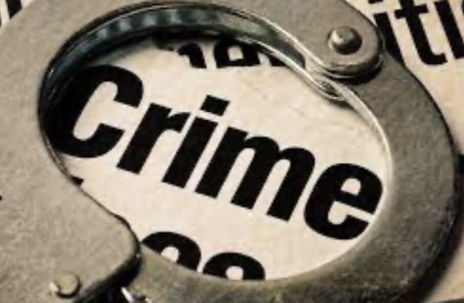 Crime Stories That Reveal Human Behavior