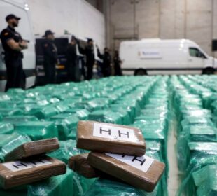 The Economics Behind Organized Crime