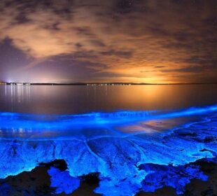Amazing Natural Phenomena Explained