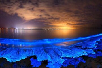 Amazing Natural Phenomena Explained