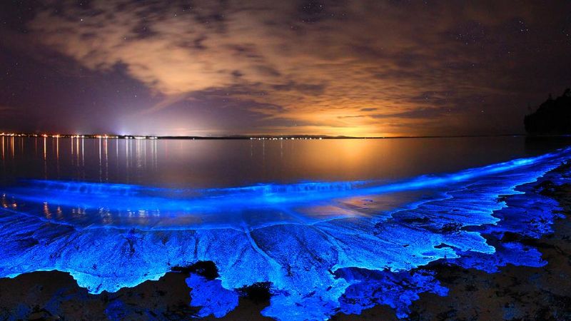 Amazing Natural Phenomena Explained