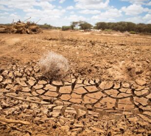 Climate Change Effects Across Africa