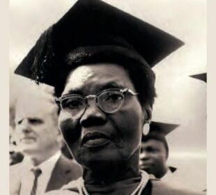 African Heroes Every Student Should Know
