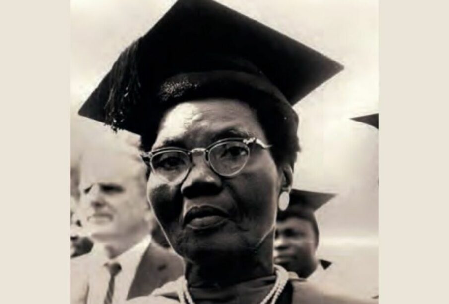 African Heroes Every Student Should Know