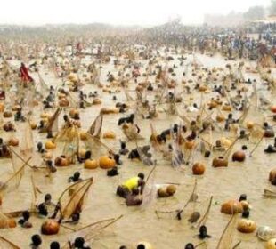Cultural Festivals Every Traveler Should Experience