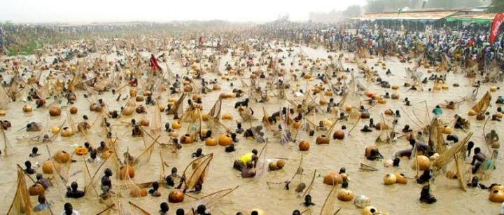 Cultural Festivals Every Traveler Should Experience