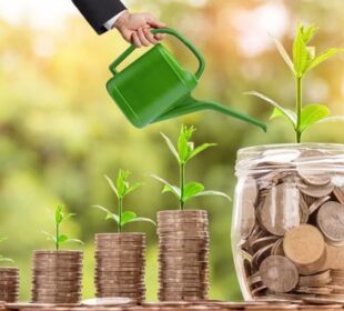 Saving and Investing for Beginners