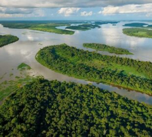 Great African Rivers and Their Importance