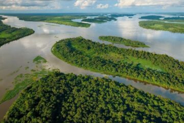 Great African Rivers and Their Importance