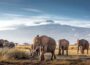 Africa's Most Fascinating Natural Wonders